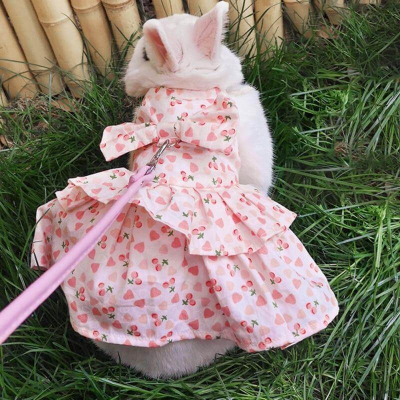 Rabbit Dress Breathable Polyester Adjustable Neck With Leash