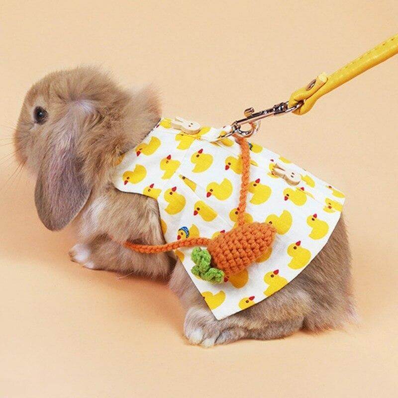 Rabbit Dress Breathable Polyester Adjustable Neck With Leash