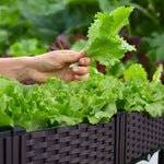 Raised Planter Self-Draining Food-Grade Plastic Weatherproof