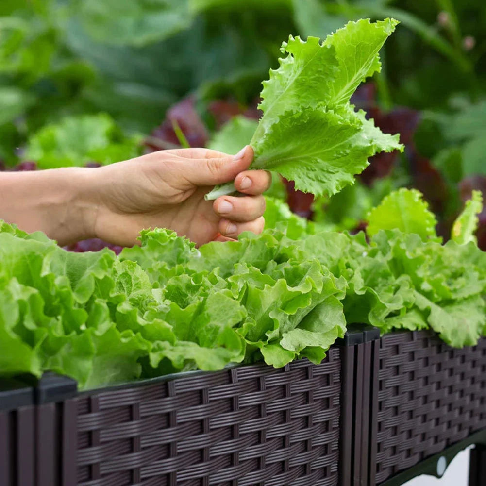 Raised Planter Self-Draining Food-Grade Plastic Weatherproof