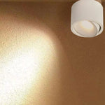 Recessed Ceiling Light Adjustable LED Aluminum