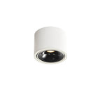 Recessed Ceiling Light Adjustable LED Aluminum