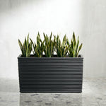 Rectangle Planter Ribbed Fiberglass UV-Resistant