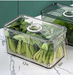 Refrigerator Storage Bin Stackable Transparent Ventilated With Drainage
