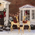 Reindeer Decoration Set Outdoor Warm White LED 3-Piece