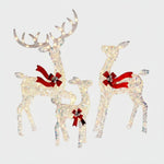 Reindeer Decoration Set Outdoor Warm White LED 3-Piece