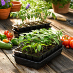 Seed Starter Kit Self-Watering Reusable BPA-Free Tray