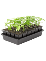 Seed Starter Kit Self-Watering Reusable BPA-Free Tray