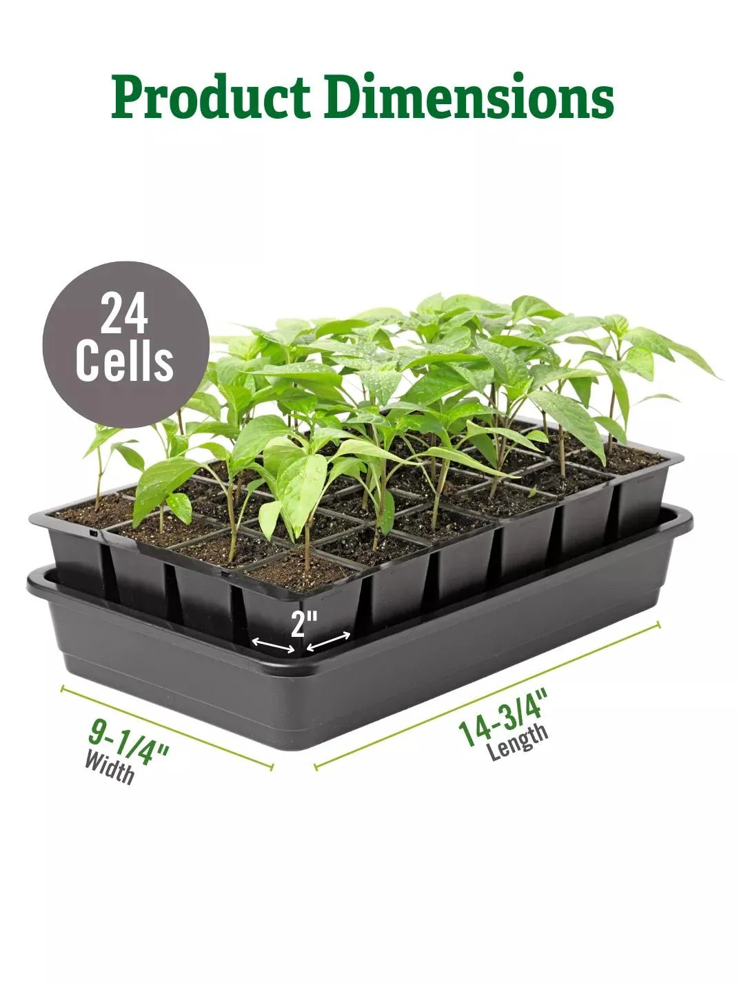 Seed Starter Kit Self-Watering Reusable BPA-Free Tray