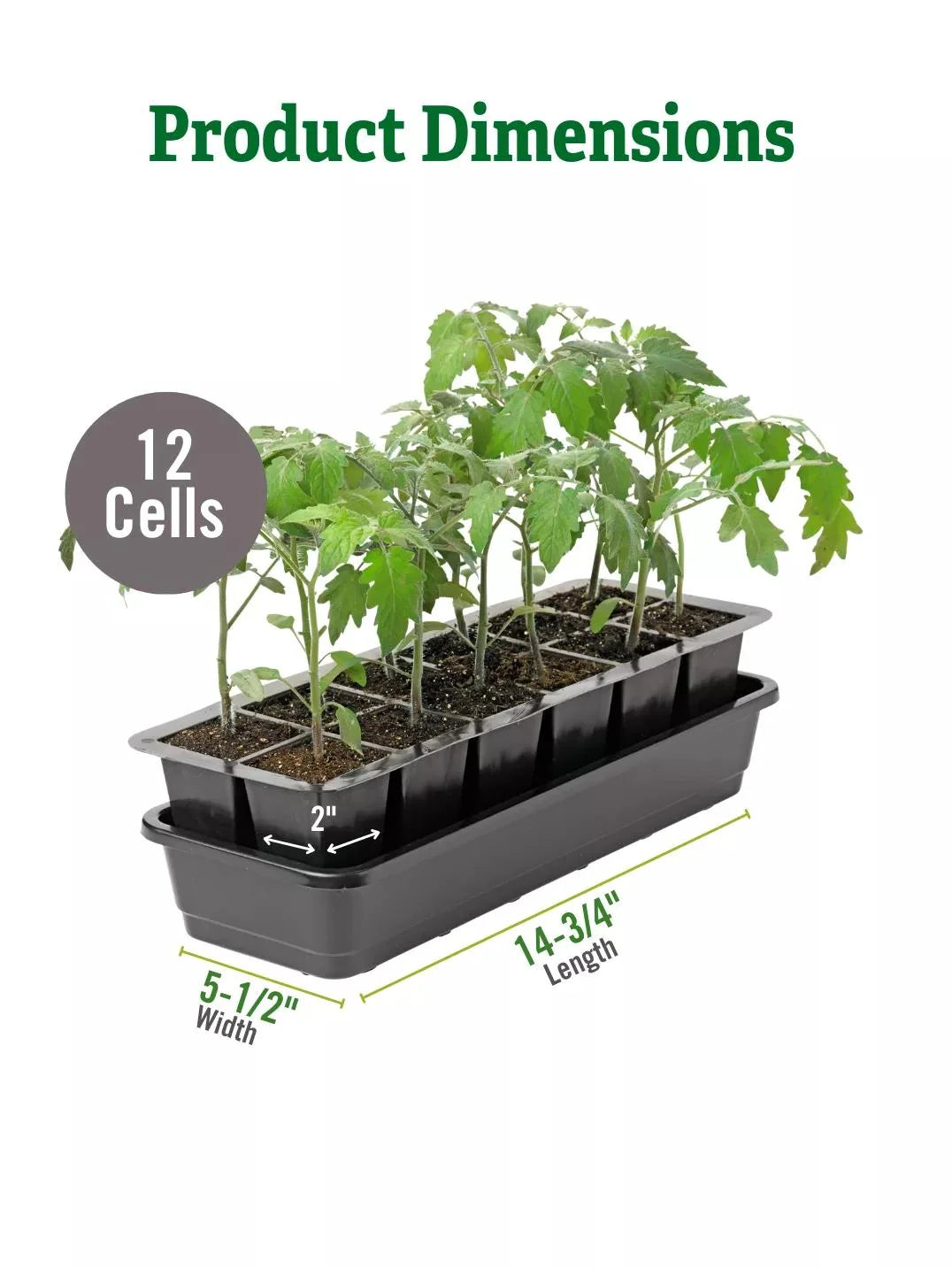 Seed Starter Kit Self-Watering Reusable BPA-Free Tray