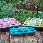 Seed Starting Tray Clear Reusable 16-Cell Set