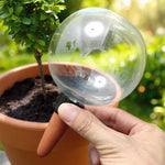 Self-Watering Globe Slow-Release 500ml Ceramic & Plastic