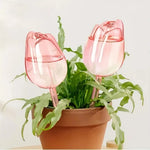 Self-Watering Plant Globe Tulip-Shaped Glass Slow-Release