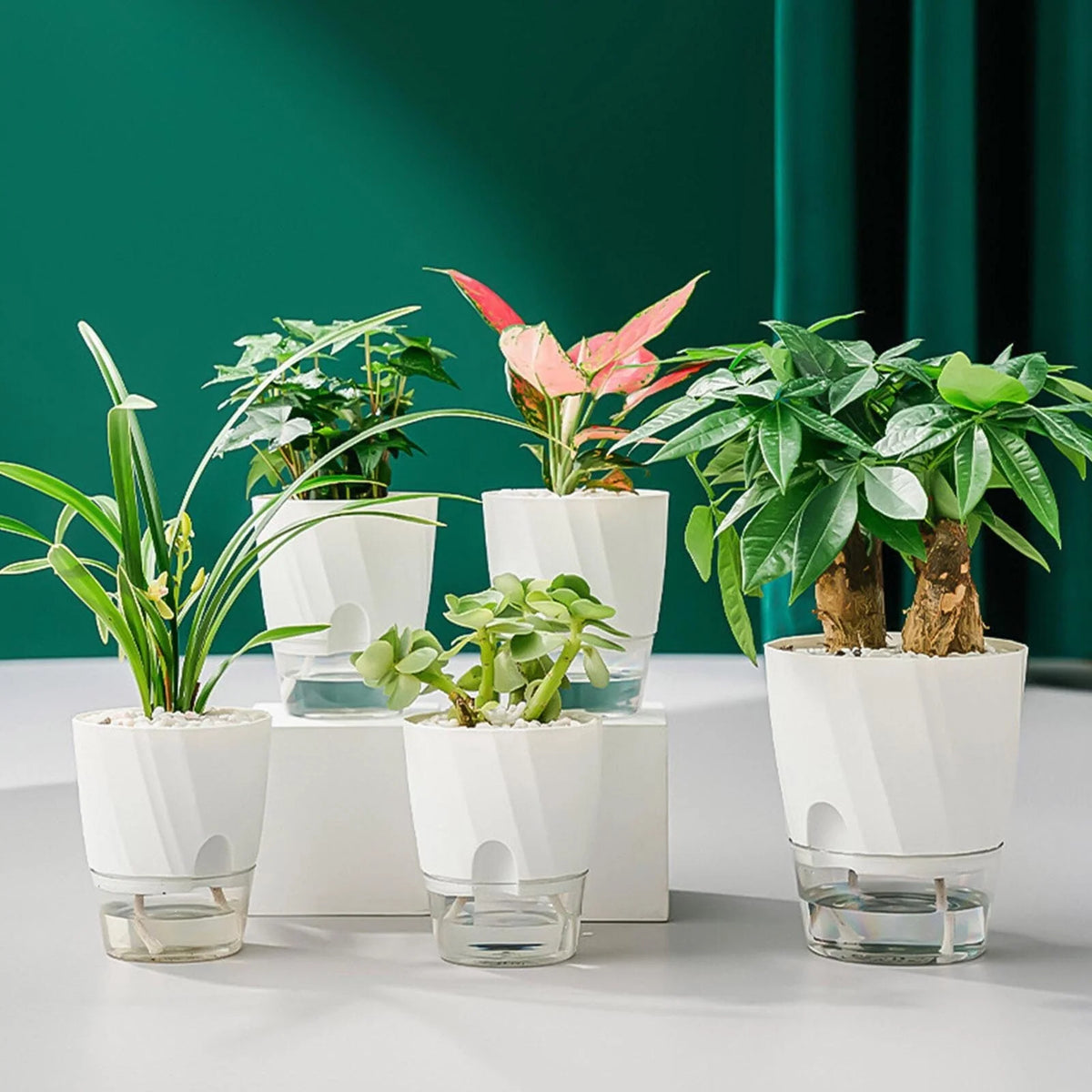 Self-Watering Planter Built-In Water Reservoir Lightweight Plastic