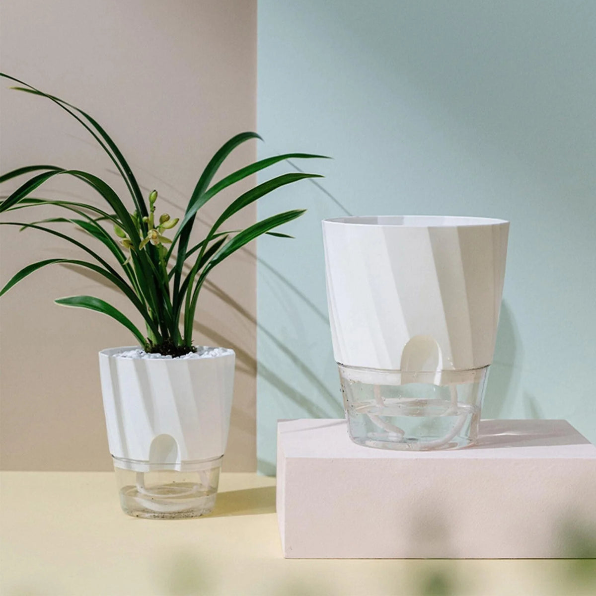 Self-Watering Planter Built-In Water Reservoir Lightweight Plastic