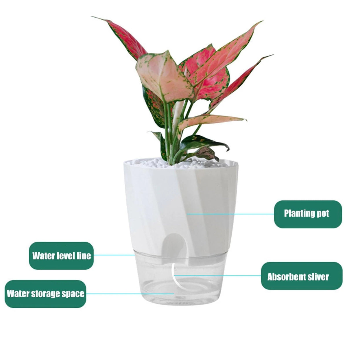 Self-Watering Planter Built-In Water Reservoir Lightweight Plastic