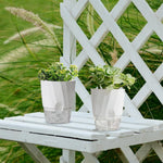 Self-Watering Planter Built-In Water Reservoir Lightweight Plastic