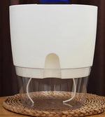 Self-Watering Planter Dual-Layer Cotton Rope & Transparent Basin