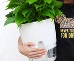 Self-Watering Planter Dual-Layer Cotton Rope & Transparent Basin