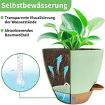 Self-Watering Planter Set of 3 with Water Level Indicator