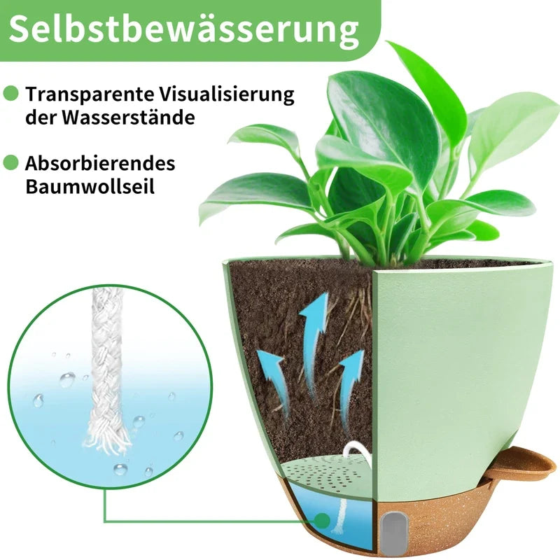 Self-Watering Planter Set of 3 with Water Level Indicator