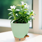 Self-Watering Planter Set of 3 with Water Level Indicator