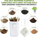 Self-Watering Planter Transparent Reservoir Weather-Resistant Plastic