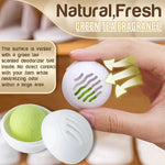 Shoe Deodorizer Balls Green Tea Reusable Set of 6
