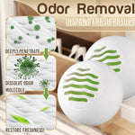 Shoe Deodorizer Odor Neutralizing Green Tea Set of 6