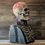 Skeleton Costume Full-Face Mask & Matching Hat