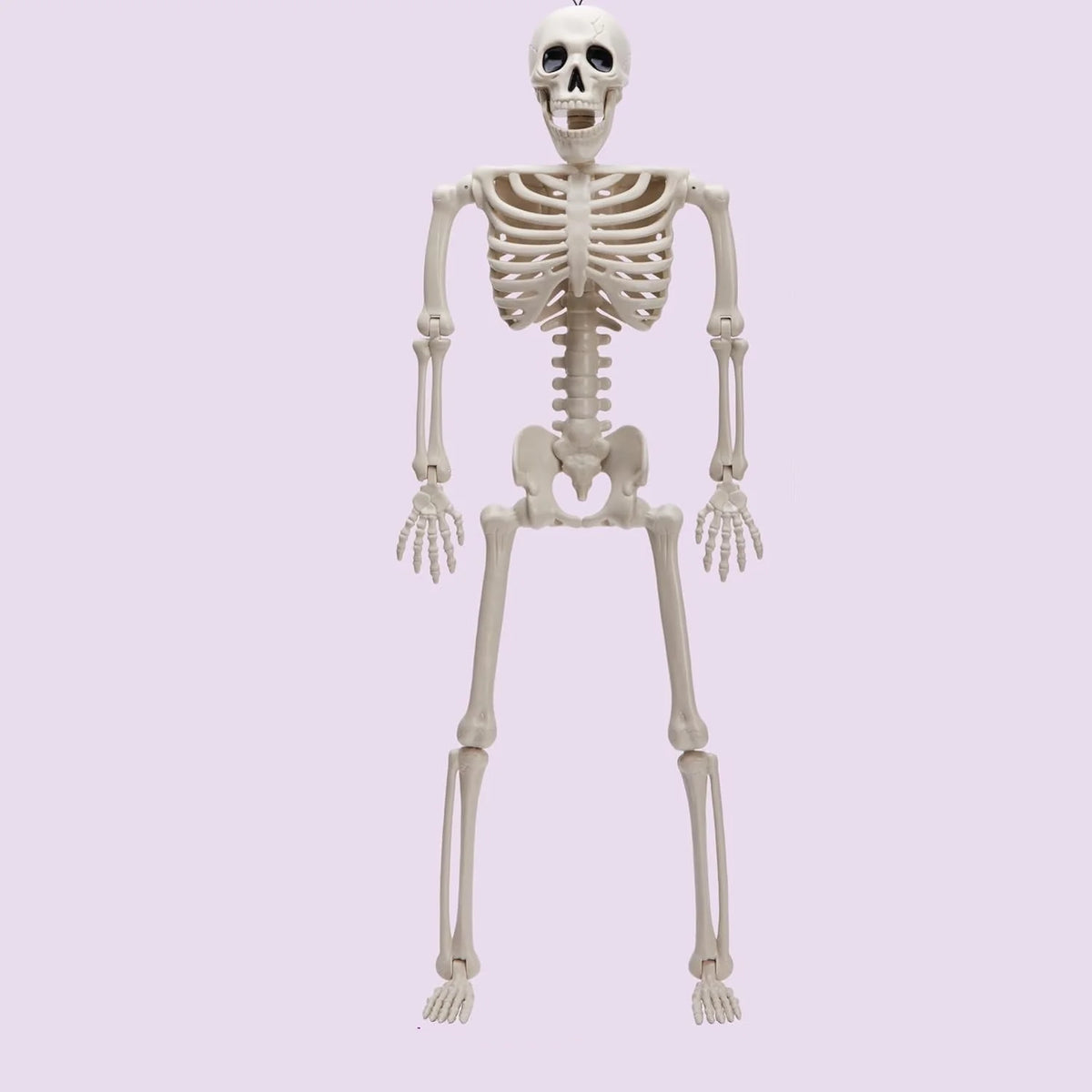 Skeleton Decoration Poseable Hanging Halloween Decor