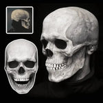 Skull Mask Full-Head Latex Movable Jaw Anatomical Design