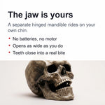 Skull Mask Full-Head Latex Movable Jaw Anatomical Design