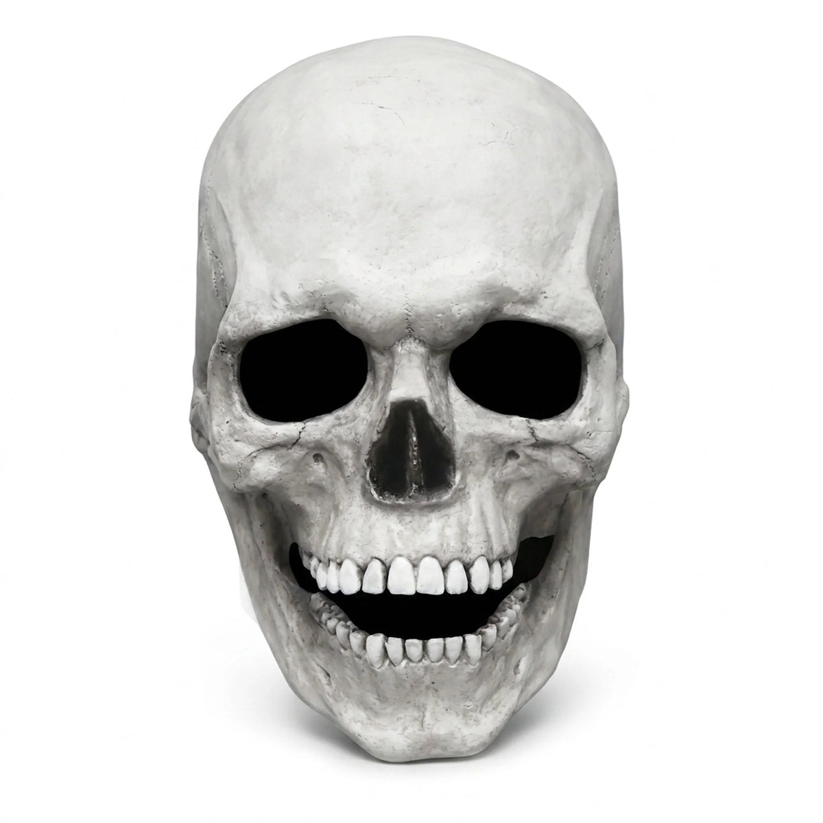 Skull Mask Full-Head Latex Movable Jaw Anatomical Design