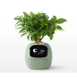 Smart Planter App-Connected Compact Desk Size