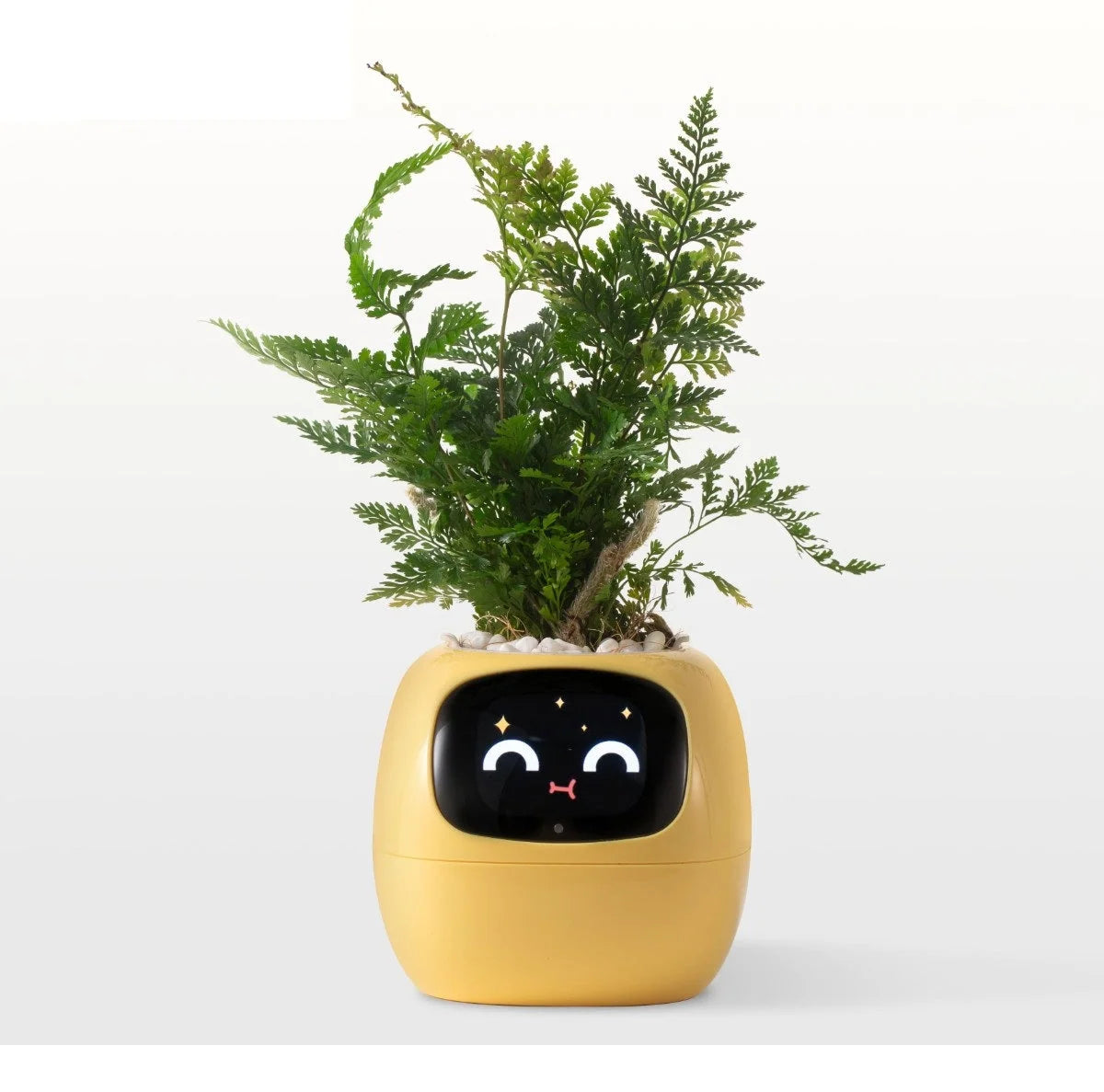Smart Planter App-Connected Compact Desk Size