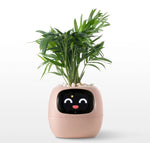 Smart Planter App-Connected Compact Desk Size