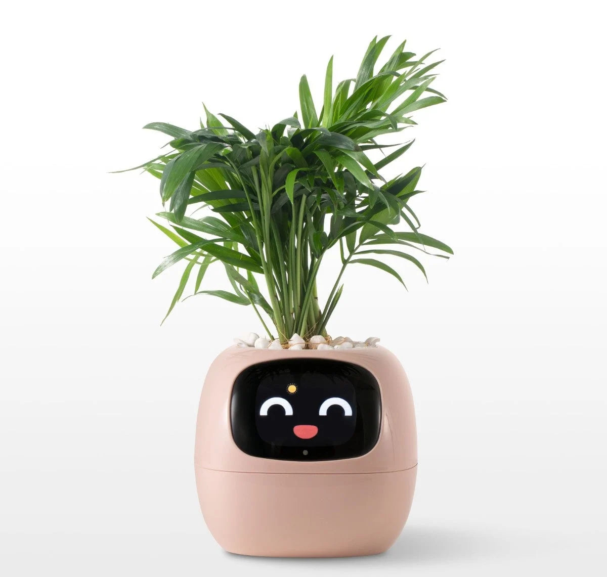 Smart Planter App-Connected Compact Desk Size