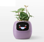 Smart Planter App-Connected Compact Desk Size