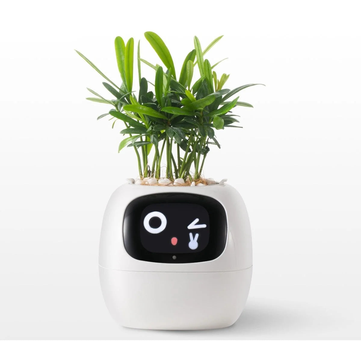 Smart Planter App-Connected Compact Desk Size