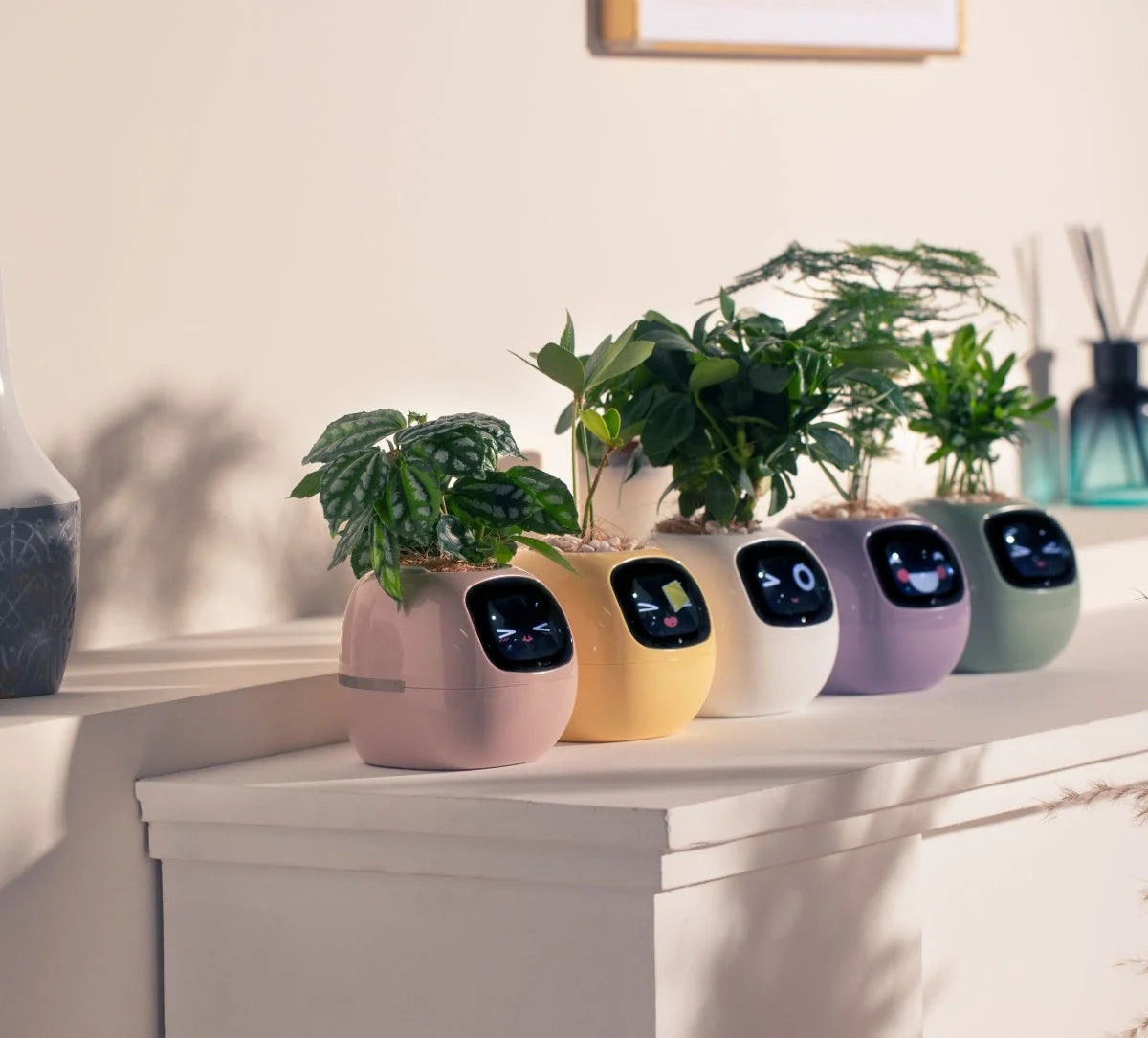 Smart Planter App-Connected Compact Desk Size