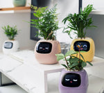 Smart Planter App-Connected Compact Desk Size