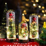 Snow Globe Christmas LED-Lit Glass Dome Wooden Base