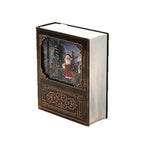 Snow Globe Decoration Santa Scene LED Light