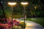 Solar Pathway Light 31 Inch 14-Hour Runtime