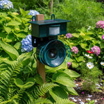 Solar-Powered Motion-Activated Sound Bird Deterrent