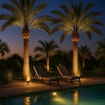 Solar Spotlight Adjustable Zoom RGB & Warm White