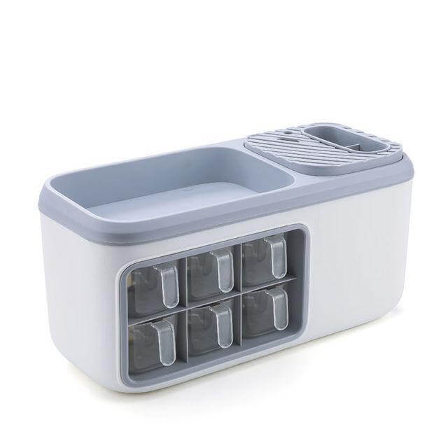 Spice Organizer 6 Compartments Transparent Detachable Container Removable Tray
