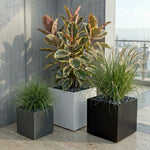 Square Planter Fiberglass UV-Resistant with Drainage