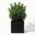 Square Planter Fiberglass UV-Resistant with Drainage